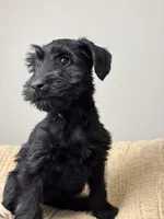 processed/0759e921-1a91-426e-849b-796eb7614b50/listing/d5df0e5f-e8ba-4de0-95ba-a4b9b0ec0979/c1fa8b84-0dda-4011-97bc-e45401441aa8