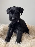 processed/0759e921-1a91-426e-849b-796eb7614b50/listing/d5df0e5f-e8ba-4de0-95ba-a4b9b0ec0979/e096f32c-3303-4059-baf2-e3a34cd45fdb