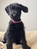 processed/0759e921-1a91-426e-849b-796eb7614b50/listing/fffe0439-bc12-475a-9534-9e853c15d9aa/3f716bcf-25b4-42a2-9a71-439258cde9d7