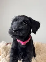 processed/0759e921-1a91-426e-849b-796eb7614b50/listing/fffe0439-bc12-475a-9534-9e853c15d9aa/8aef1ac0-eec1-41d9-9b68-9ccedefee3c4