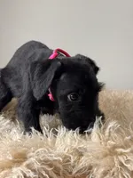 processed/0759e921-1a91-426e-849b-796eb7614b50/listing/fffe0439-bc12-475a-9534-9e853c15d9aa/a28b5a52-ea08-47e9-8f02-27531a58df81