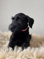 processed/0759e921-1a91-426e-849b-796eb7614b50/listing/fffe0439-bc12-475a-9534-9e853c15d9aa/a2bbf347-855d-41c5-895e-1496dedf4de1