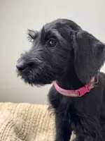 processed/0759e921-1a91-426e-849b-796eb7614b50/listing/fffe0439-bc12-475a-9534-9e853c15d9aa/a7b0f2af-d9a4-4fca-9f60-20800f11a08b