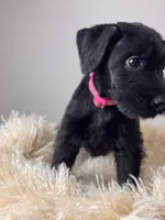 processed/0759e921-1a91-426e-849b-796eb7614b50/listing/fffe0439-bc12-475a-9534-9e853c15d9aa/cdbe6843-b118-481a-b54b-4b9b5d896adc