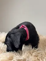 processed/0759e921-1a91-426e-849b-796eb7614b50/listing/fffe0439-bc12-475a-9534-9e853c15d9aa/ea80680b-0e73-4d46-a32b-39e88236eff3