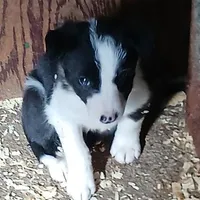 processed/075b131e-c7a6-42bb-ac6b-c1c8dfa2e1f3/facility/10379298-7392-42b3-a7a3-9e91ba008c2b