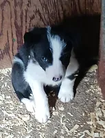 processed/075b131e-c7a6-42bb-ac6b-c1c8dfa2e1f3/facility/10379298-7392-42b3-a7a3-9e91ba008c2b