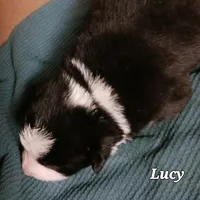 processed/075b131e-c7a6-42bb-ac6b-c1c8dfa2e1f3/facility/29523996-2421-4991-b5ce-5f47547e1870