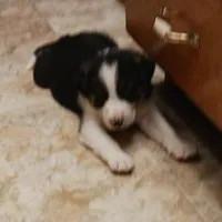 processed/075b131e-c7a6-42bb-ac6b-c1c8dfa2e1f3/facility/45770102-4091-4896-857e-db4a7881cdcf