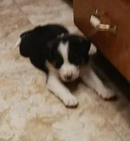 processed/075b131e-c7a6-42bb-ac6b-c1c8dfa2e1f3/facility/45770102-4091-4896-857e-db4a7881cdcf