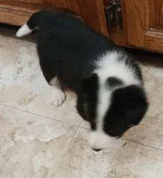 processed/075b131e-c7a6-42bb-ac6b-c1c8dfa2e1f3/facility/678b61f3-cdd0-41f7-936b-610fce53822a