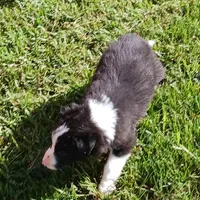 processed/075b131e-c7a6-42bb-ac6b-c1c8dfa2e1f3/facility/6de66e44-1618-4d45-a7e5-c786c1b990c5