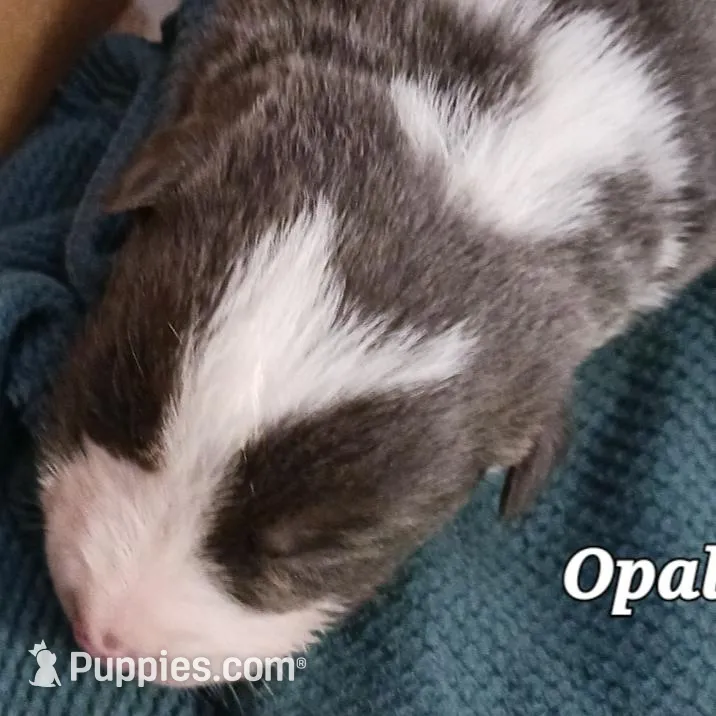 processed/075b131e-c7a6-42bb-ac6b-c1c8dfa2e1f3/facility/b3f80c72-9e97-4673-96cd-4fa66750e956