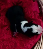 processed/075b131e-c7a6-42bb-ac6b-c1c8dfa2e1f3/listing/0e911912-9784-4bbe-8f7a-da5c77ae03a7/a4ad2f5e-c85a-46b6-8da8-7513952cc1bb