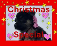 Pink L F, a female German Shepherd Dog for sale in Irwinton, GA – Photo 1 of 9