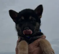 processed/075deedb-581d-43dc-bf63-3123570957ef/listing/8d68b088-e1dc-4a49-b811-7b0455e99e9d/0a387e31-52d5-49b1-b002-a91030877dfd