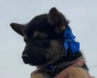 processed/075deedb-581d-43dc-bf63-3123570957ef/listing/8d68b088-e1dc-4a49-b811-7b0455e99e9d/123531fe-17c7-46a4-b2b9-09ffdb89c470