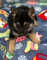 processed/075deedb-581d-43dc-bf63-3123570957ef/listing/8d68b088-e1dc-4a49-b811-7b0455e99e9d/483f13a1-db49-417b-aa3b-0c5e96db8856