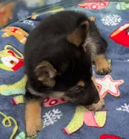 processed/075deedb-581d-43dc-bf63-3123570957ef/listing/8d68b088-e1dc-4a49-b811-7b0455e99e9d/c3ec40e6-b145-4e9a-a867-ab65a54f3c0c