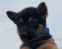 processed/075deedb-581d-43dc-bf63-3123570957ef/listing/8d68b088-e1dc-4a49-b811-7b0455e99e9d/e68ed182-e826-4b6a-8294-6ebdd1c13cc3