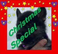 Purple L F, a female German Shepherd Dog for sale in Irwinton, GA – Photo 1 of 9