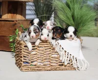 processed/07666ebd-dfda-47fc-a1a3-9d97e95c9032/facility/16508506-9ae7-4b96-908c-0579f9477ffd