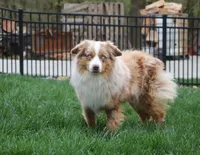 processed/07666ebd-dfda-47fc-a1a3-9d97e95c9032/facility/4b394832-105b-4579-80b8-a26a9d03c26d