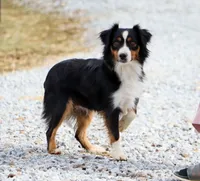 processed/07666ebd-dfda-47fc-a1a3-9d97e95c9032/facility/6ae1cac7-7445-4e0a-94a5-9ca1f628719f