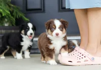 processed/07666ebd-dfda-47fc-a1a3-9d97e95c9032/facility/72c0c5cf-78d9-4327-9c41-1e8f8c9ee0d0