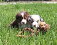 processed/07666ebd-dfda-47fc-a1a3-9d97e95c9032/facility/94cc8454-0b59-494e-88aa-5157331e7505