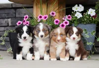 processed/07666ebd-dfda-47fc-a1a3-9d97e95c9032/facility/a9f5ac7b-a70d-415f-b982-7d77edcec93e