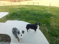 processed/07666ebd-dfda-47fc-a1a3-9d97e95c9032/facility/d3ae3bfe-16cf-404e-9f3e-1554a46432cc