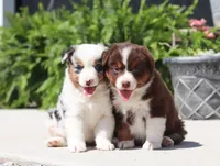 processed/07666ebd-dfda-47fc-a1a3-9d97e95c9032/facility/e69cfa20-ace2-4921-934a-a8d4914288b4