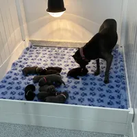 processed/0766a54d-316d-44ba-afd3-ef4681c00af2/facility/274d17a1-e4f8-45da-b77b-9b6cbe6c8f5e