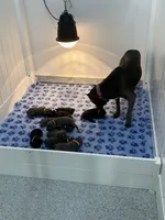 processed/0766a54d-316d-44ba-afd3-ef4681c00af2/facility/274d17a1-e4f8-45da-b77b-9b6cbe6c8f5e