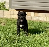 processed/0766a54d-316d-44ba-afd3-ef4681c00af2/listing/10935909-5c2d-4e7e-8d25-198471b492ae/346a4d12-af03-48cd-b06f-5bc05a80f089