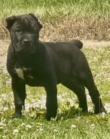 processed/0766a54d-316d-44ba-afd3-ef4681c00af2/listing/10935909-5c2d-4e7e-8d25-198471b492ae/608eecd7-5104-418c-b840-fa73b7d6ff5b