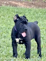 processed/0766a54d-316d-44ba-afd3-ef4681c00af2/listing/10935909-5c2d-4e7e-8d25-198471b492ae/89a784a4-f664-461c-8797-78a056e7b980