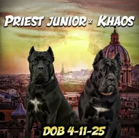 processed/0766a54d-316d-44ba-afd3-ef4681c00af2/listing/10935909-5c2d-4e7e-8d25-198471b492ae/9e6f2f1a-14b1-4f60-87bb-a161c9a543dd