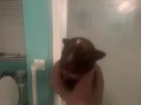 processed/076c417b-7e2e-4908-bbf8-df84b76b6a27/listing/34d74943-34c2-4572-a51c-6583156737bc/19fb49d9-731b-41b5-9490-991b874f71d8