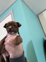 processed/076c417b-7e2e-4908-bbf8-df84b76b6a27/listing/34d74943-34c2-4572-a51c-6583156737bc/62c71bb4-a1e4-4f9a-b1b3-739a4e1a9812