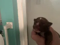 processed/076c417b-7e2e-4908-bbf8-df84b76b6a27/listing/34d74943-34c2-4572-a51c-6583156737bc/88165eb3-e923-4a6a-952d-92d8e64630c8