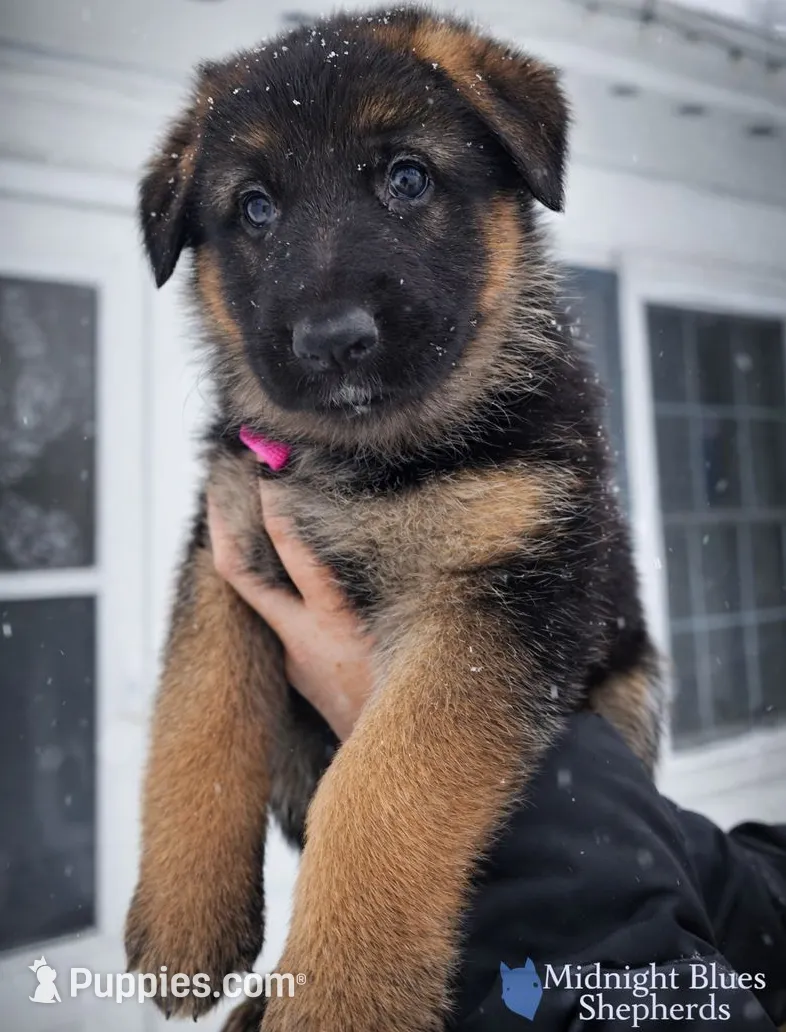 processed/076d1743-430a-4cbe-bbb4-a001364d5a49/listing/da268d77-f9b0-48de-88ce-9b198dc6694f/30c8dc8b-8e09-4b92-89f5-1096e32751a9