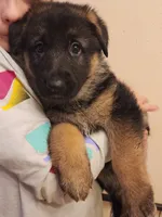 processed/076d1743-430a-4cbe-bbb4-a001364d5a49/listing/da268d77-f9b0-48de-88ce-9b198dc6694f/353757b3-fe01-404d-874f-27088c9d49d0