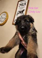 processed/076d1743-430a-4cbe-bbb4-a001364d5a49/listing/da268d77-f9b0-48de-88ce-9b198dc6694f/c8ca2e1e-f599-4ad4-b56c-1639b22d9f2c