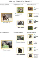 Green male, a male American Bully for sale in Palatka, FL – Photo 3 of 6