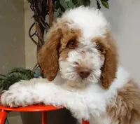 processed/0786cea1-76f8-4ed4-9696-f23f8004171a/facility/339f8151-414b-4086-ac7d-b53f997511c3