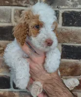 processed/0786cea1-76f8-4ed4-9696-f23f8004171a/facility/4b9d7ba6-7141-4d97-8525-9bff055f9243