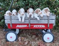 processed/0786cea1-76f8-4ed4-9696-f23f8004171a/facility/72dcbf01-ec44-4968-8380-91d3601b6323