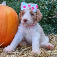 processed/0786cea1-76f8-4ed4-9696-f23f8004171a/facility/7730e0d0-e902-43f1-901e-c452ec6910c7